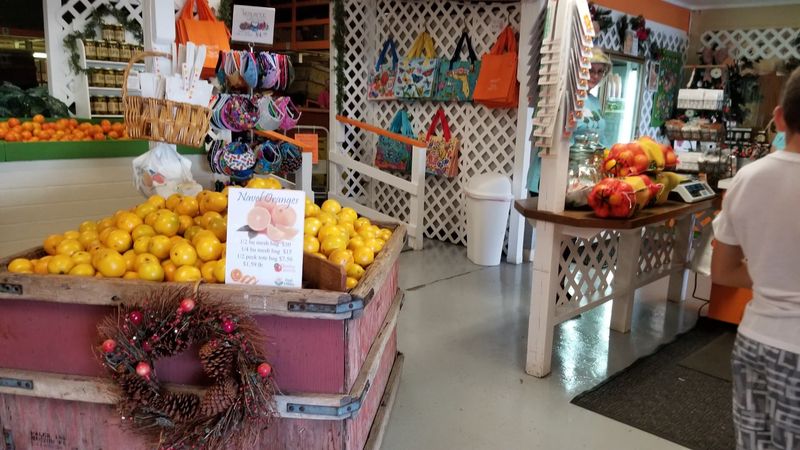 The Location Is An Easy Drive From Tampa