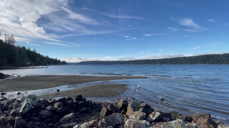 The Magic Of Hood Canal's Warmest Saltwater Beach