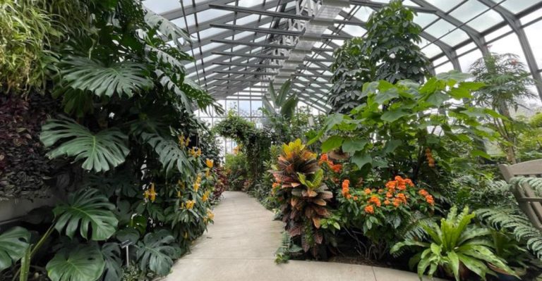 You Need To Witness The Hummingbird Spectacle In Colorado This Spring