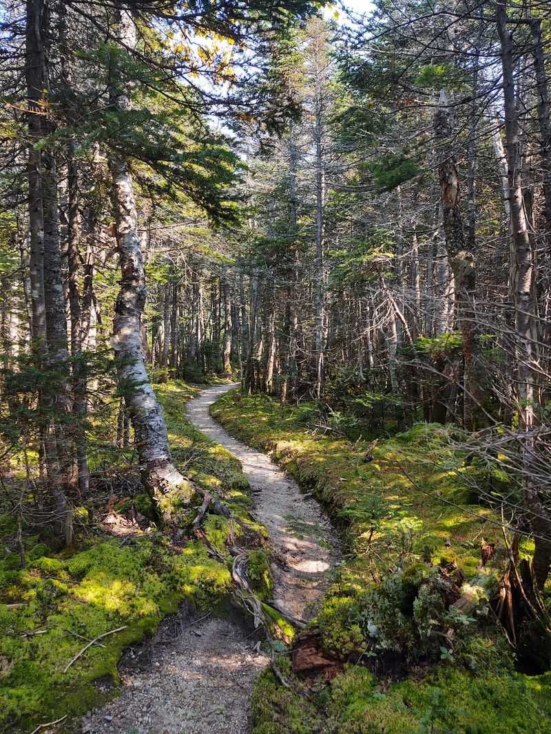 You Will Never Run Out Of Trails Here You Will Never Run Out Of Trails Here