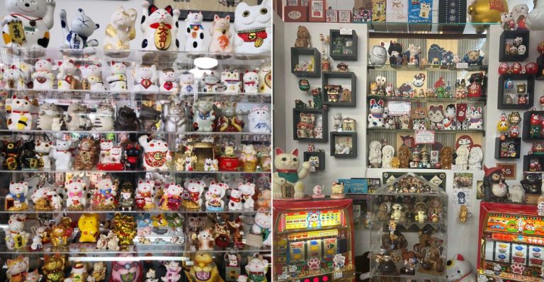 You Won’t Believe This Delightfully Weird Cat Museum Exists In Ohio