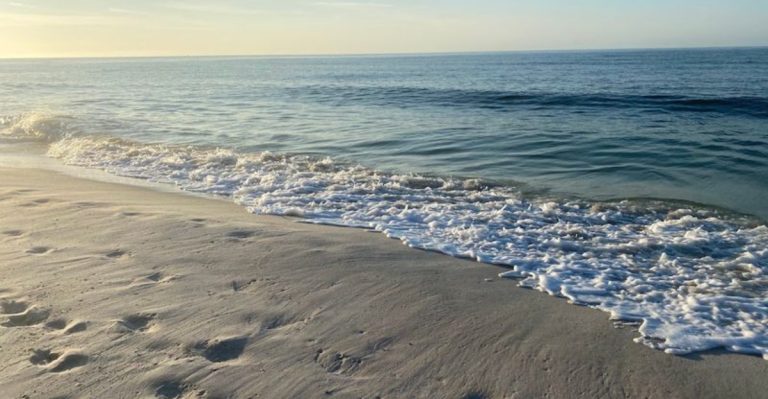 You Won’t Believe This Tropical Paradise Is Actually In Alabama