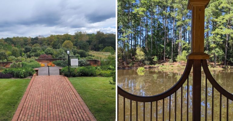 You’d Never Guess This Stunning South Carolina Botanical Garden Is Completely Free