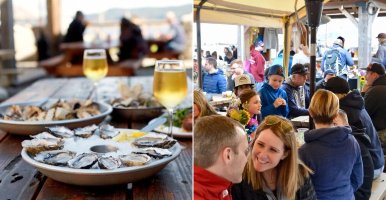 You’d Never Guess Washington’s Juiciest Oysters Are Served In This Roadside Stop