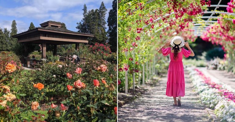 You’ll Feel Like You’re Walking Through A Monet Painting At This Dreamy Rose Garden In Washington