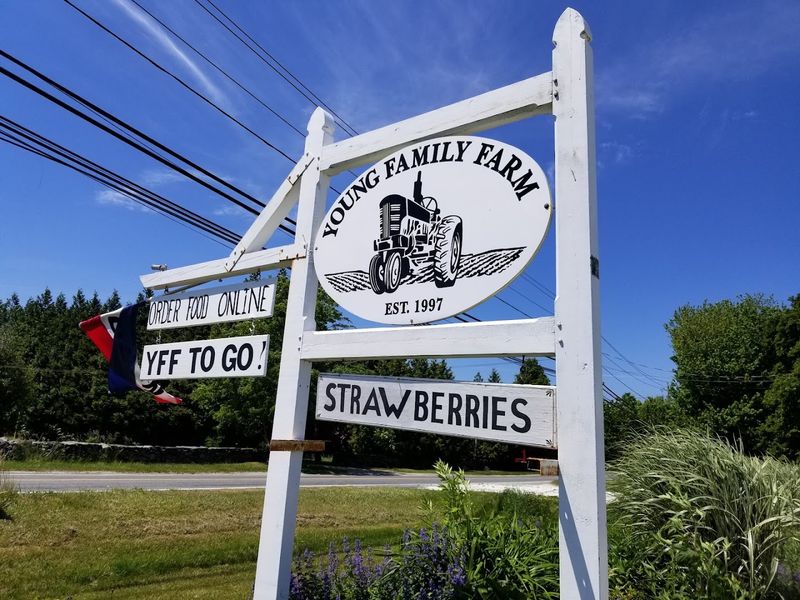 Young Family Farm