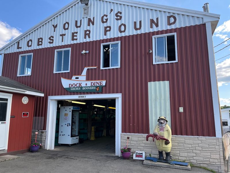Young's Lobster Pound, Belfast