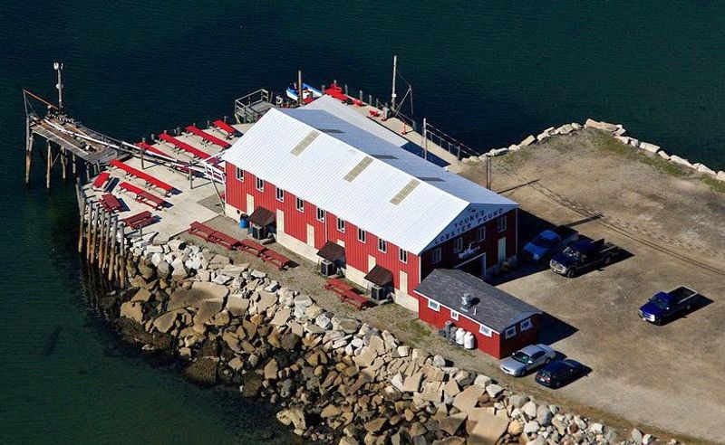 Young's Lobster Pound, Belfast