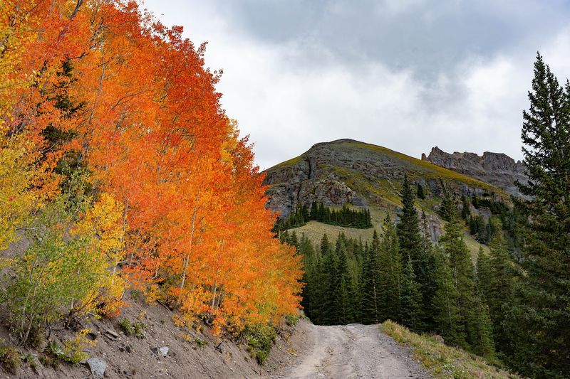 Your Car Will Have Strong Opinions About This Road Your Car Will Have Strong Opinions About This Road
