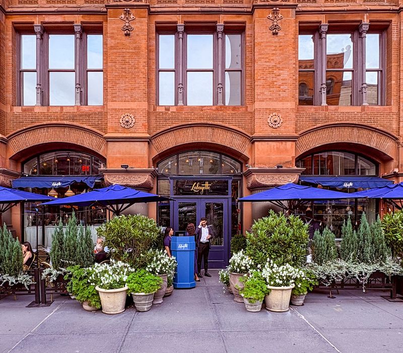 Your Dog Might Love The Patio As Much As You Do