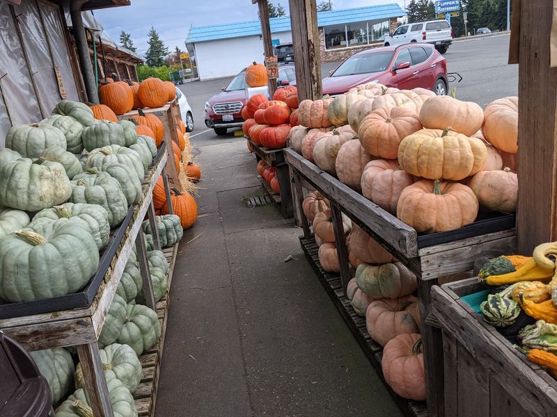 Your Easy Plan For A Stop On Highway 101