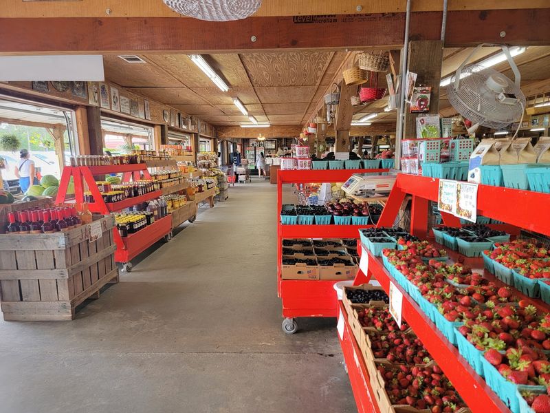 Your Grocery Cart Never Looked This Good At The Farm Market