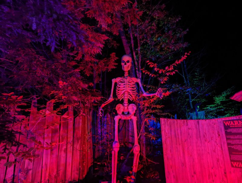 Your Group Gets The Scares All To Itself