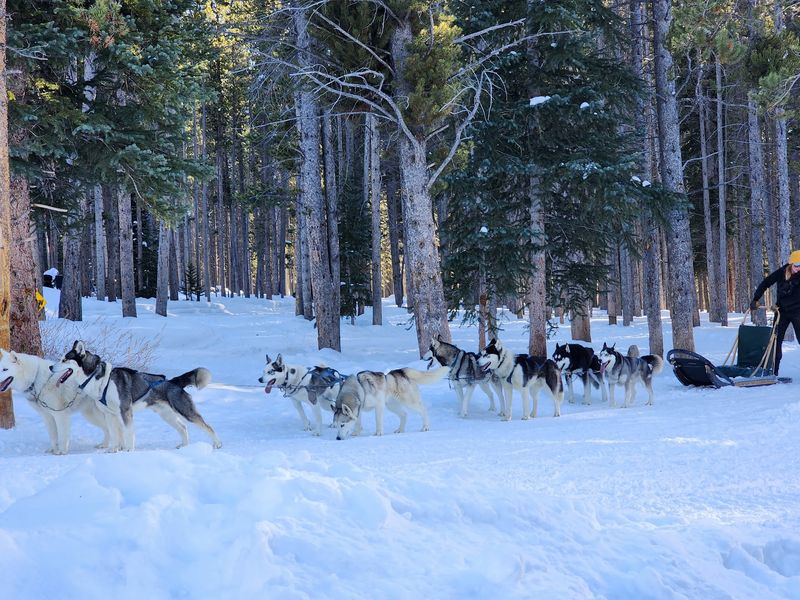 Your Hands Belong On The Sled, Not In Your Pockets