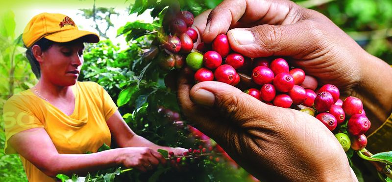 Coffee With A Purpose