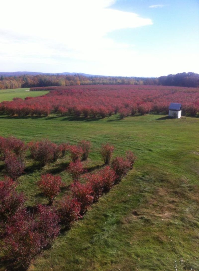 Your Next Maine Summer Stop