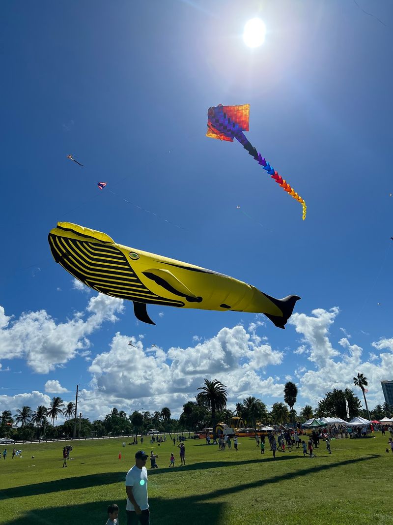 Your Own Kite Deserves A Spot Up There Too