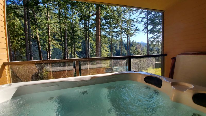 Your Own Spring-Fed Tub With A Forest View