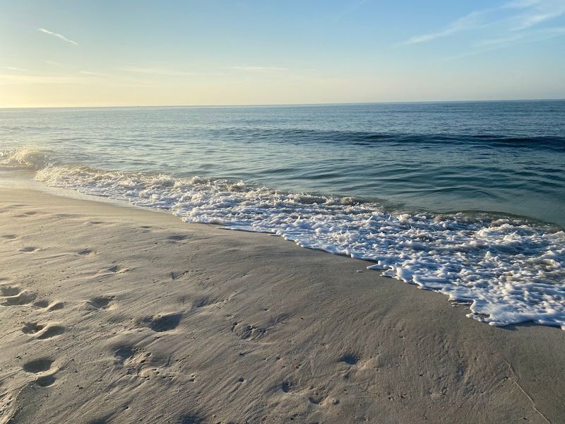 Your Personal Treasure Hunt Along The Shoreline Your Personal Treasure Hunt Along The Shoreline