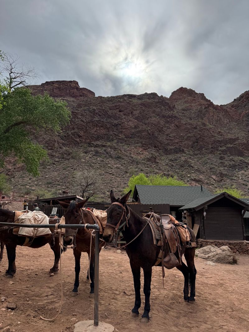 Your Ride Down Comes With Hooves, Hiking Boots, Or A Paddle Your Ride Down Comes With Hooves, Hiking Boots, Or A Paddle