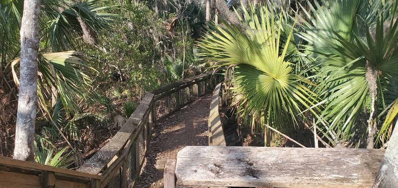 Your Smart Game Plan For A Tick-Free Day