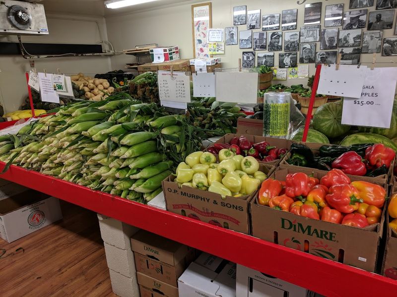 Your Spring Garden Starts Here