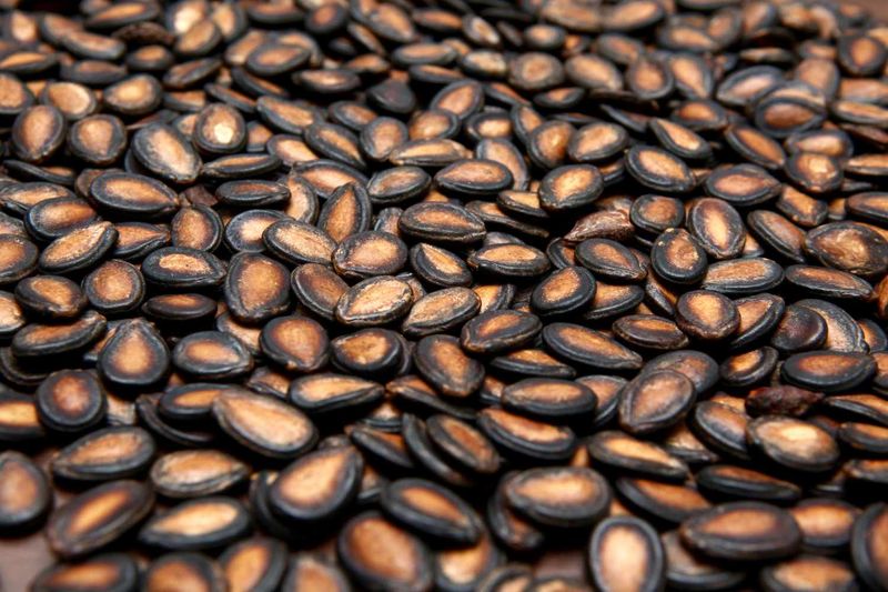Seeds Actually Pack Surprising Nutritional Benefits