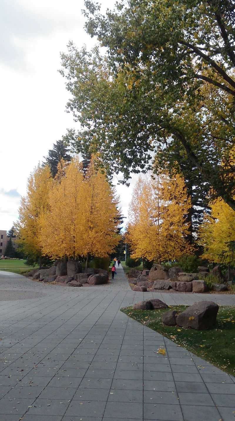 Your Study Break Might Involve Climbing Giant Granite