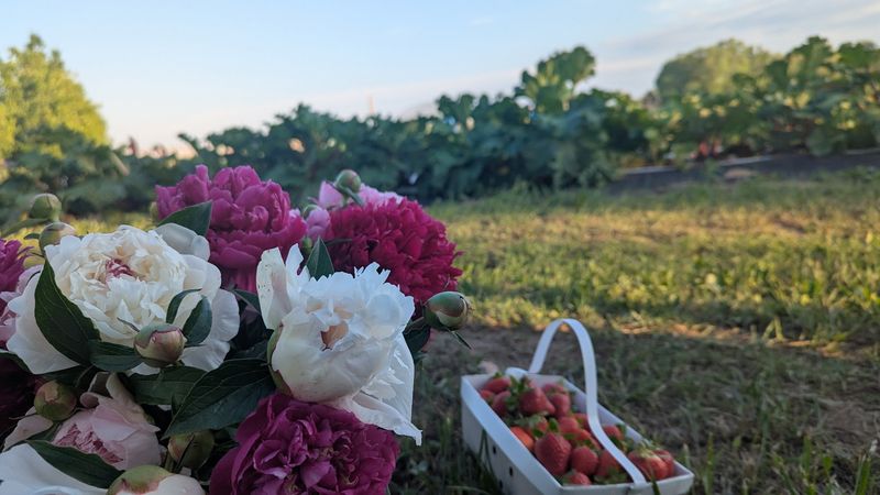 Your Takeaway From A Morning At Garden Sweet