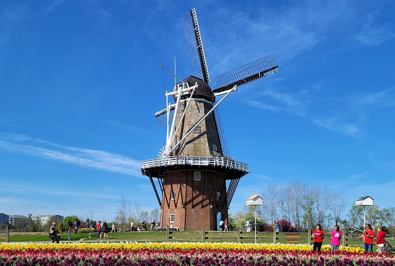 Your Thanksgiving Run Gets A Windmill Cameo Your Thanksgiving Run Gets A Windmill Cameo