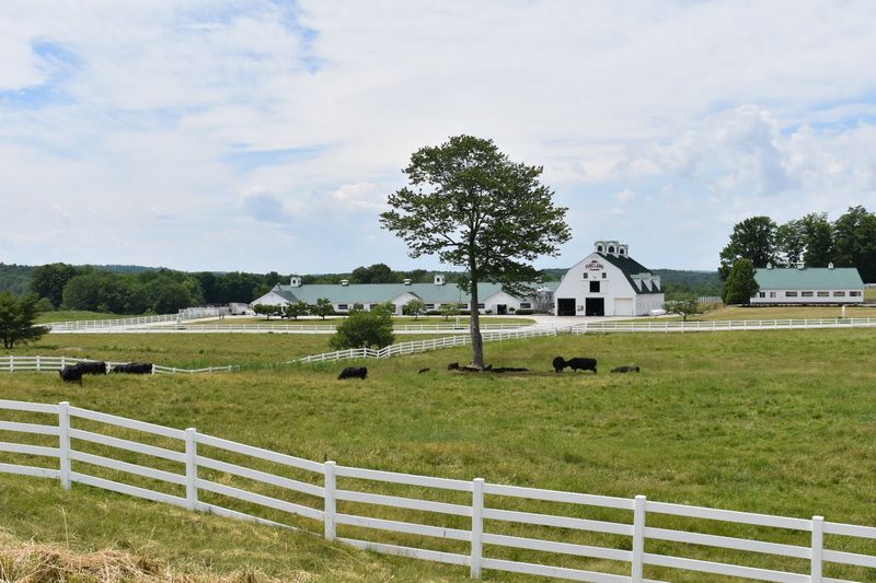 Your Turkey Comes From A Real Maine Farm, Not A Mystery Freezer