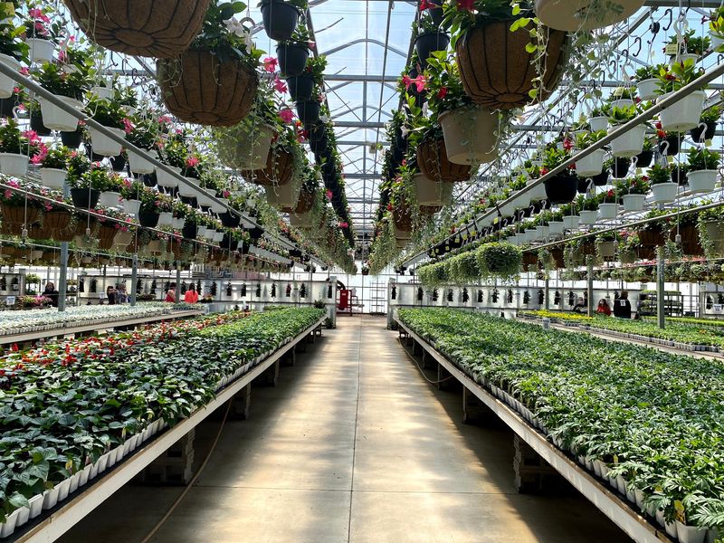 Your Vegetable Garden Dreams Can Get Very Ambitious