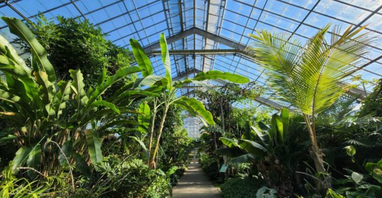 You’ve Probably Never Heard Of This Gorgeous Michigan Botanical Garden