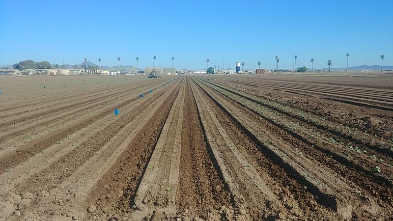 Yuma County Yuma County