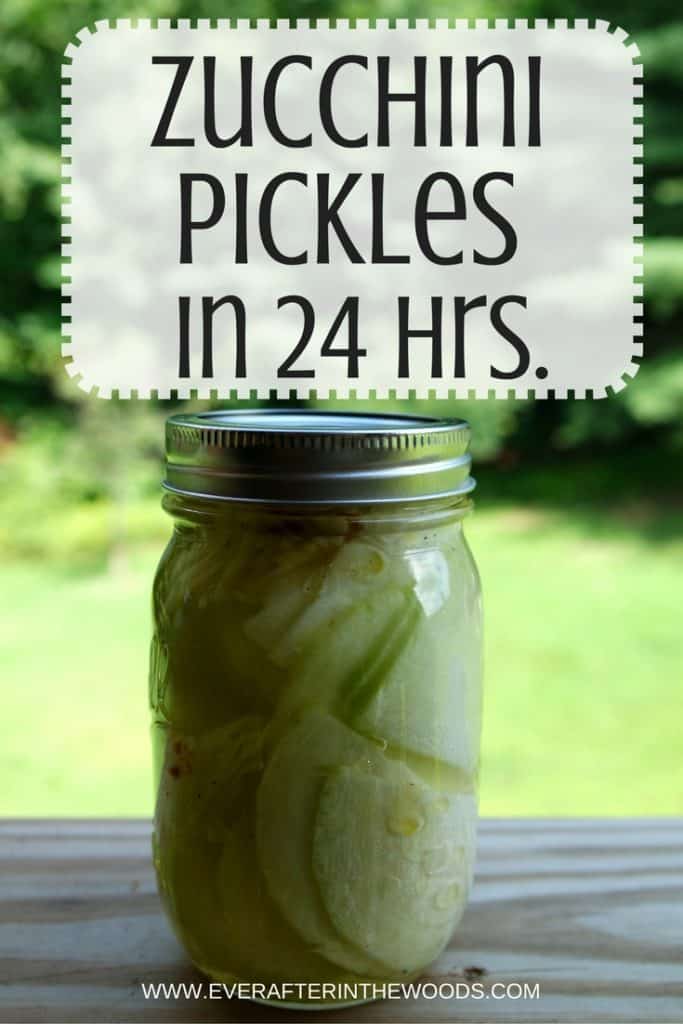 Refrigerator Zucchini Pickles - Ever After in the Woods