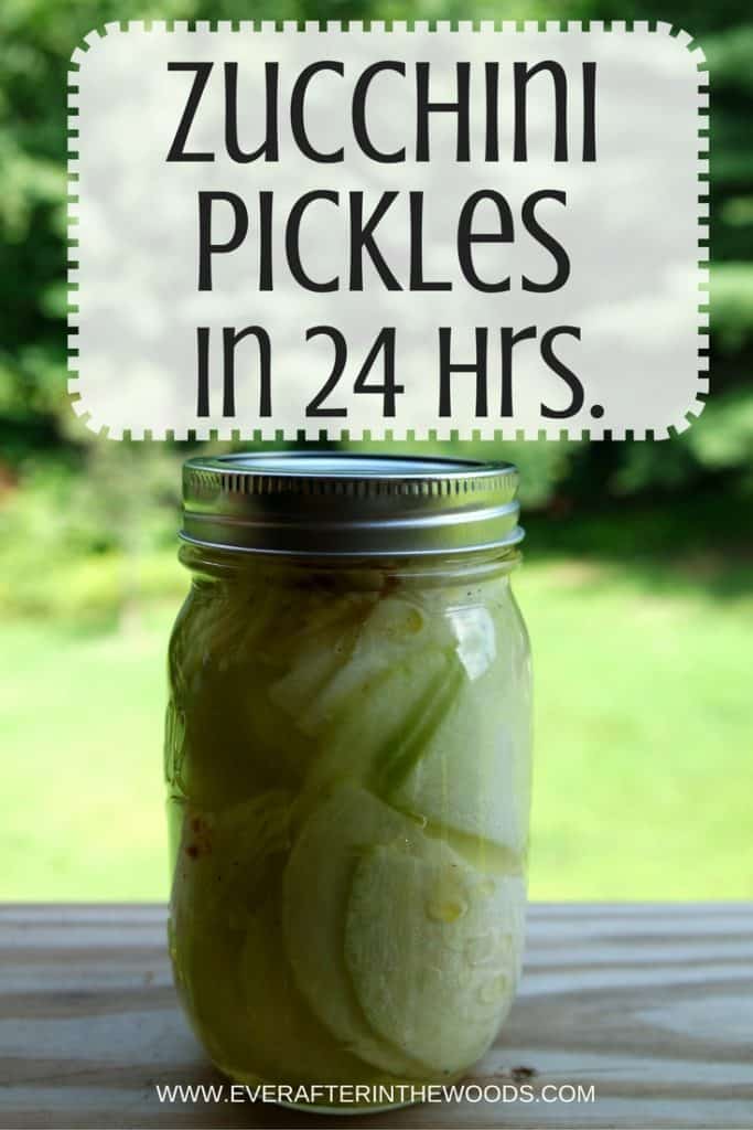 easy refrigerator pickles