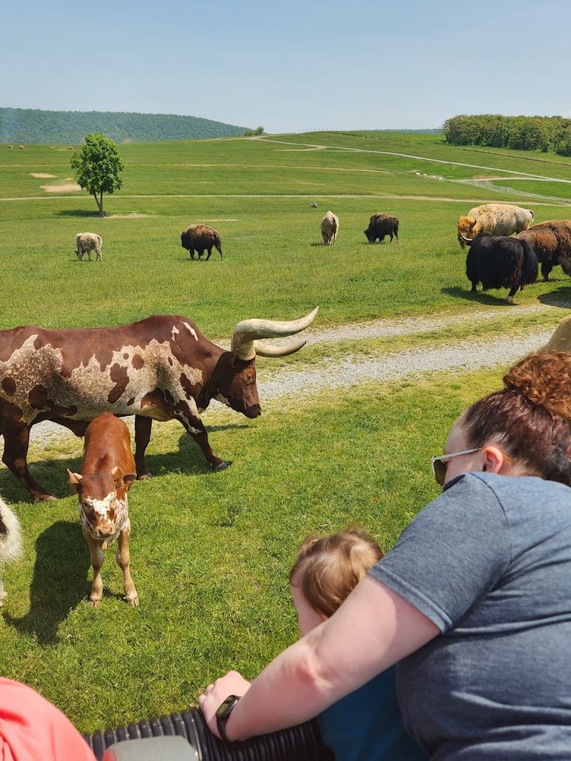 Family-Friendly Facilities And Picnic Areas