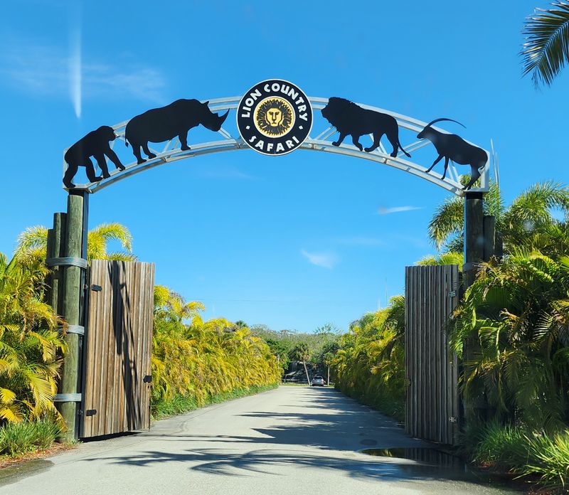 Gentle Giants: White Rhinos