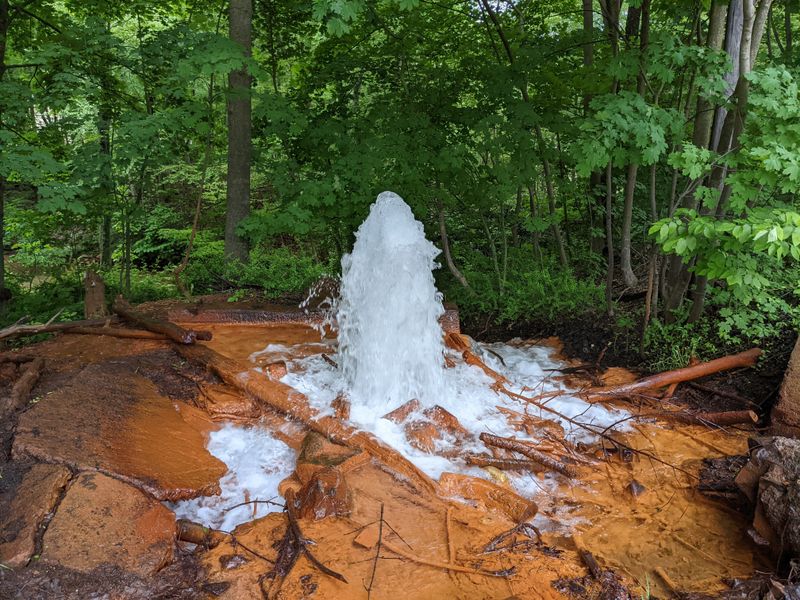 Height Varies Wildly Depending on Rainfall