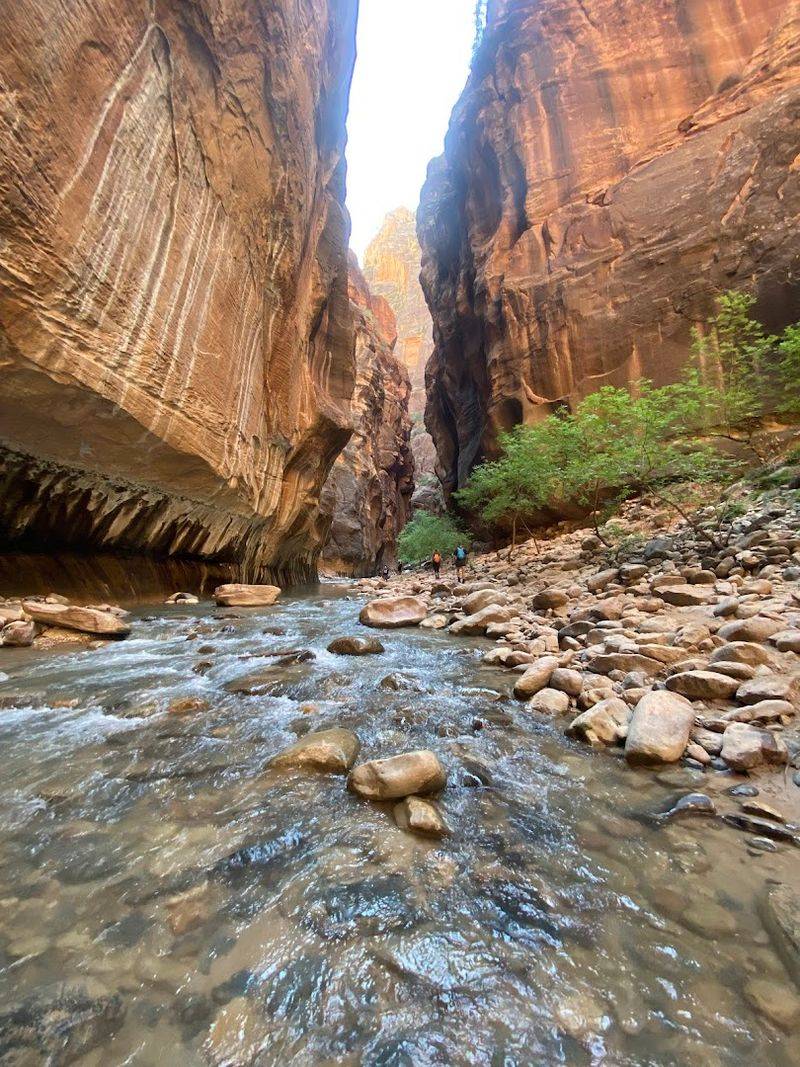 The Narrows In Zion