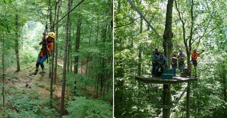 Zip Hundreds Of Feet Above The Forest On This Thrilling Illinois Ride