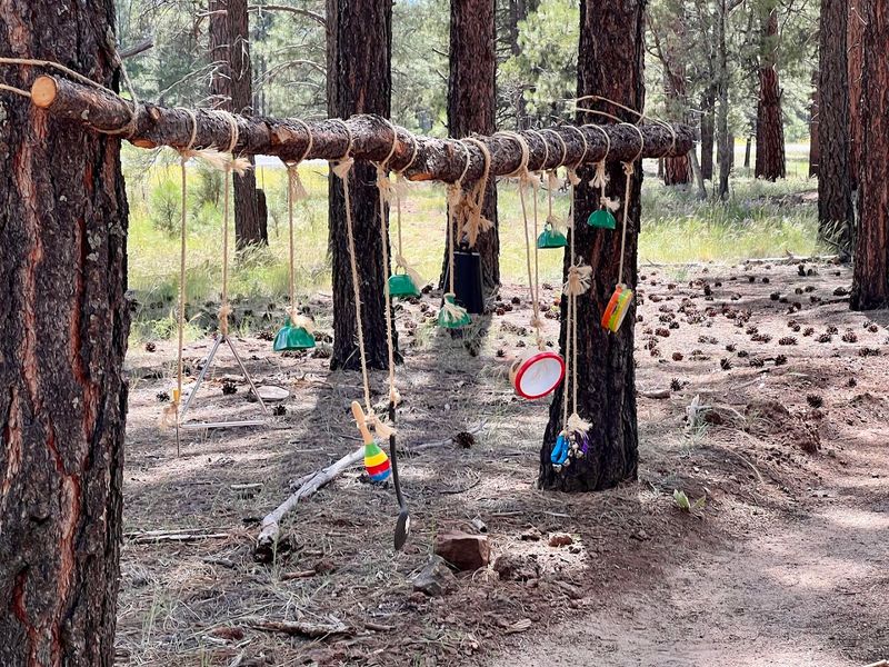 Zip Lines For All Ages