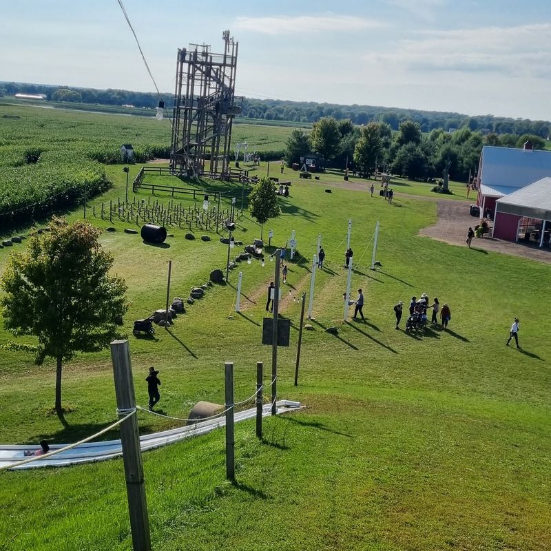 Zip Lines, Zorbing, And A Tower Worth Climbing