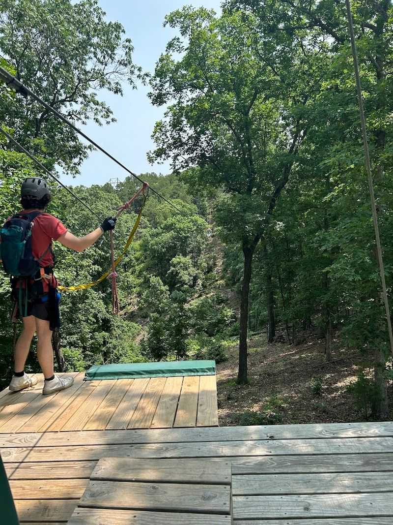 Forest Platforms Set Above Rugged Ozark Terrain