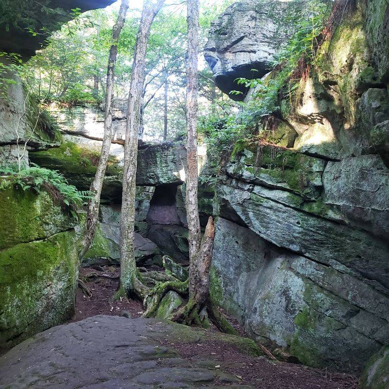 Bilger's Rocks, Near Grampian And Curwensville