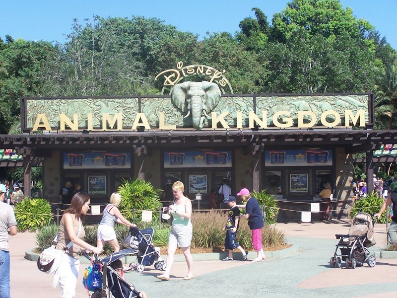 Disney's Animal Kingdom, Bay Lake