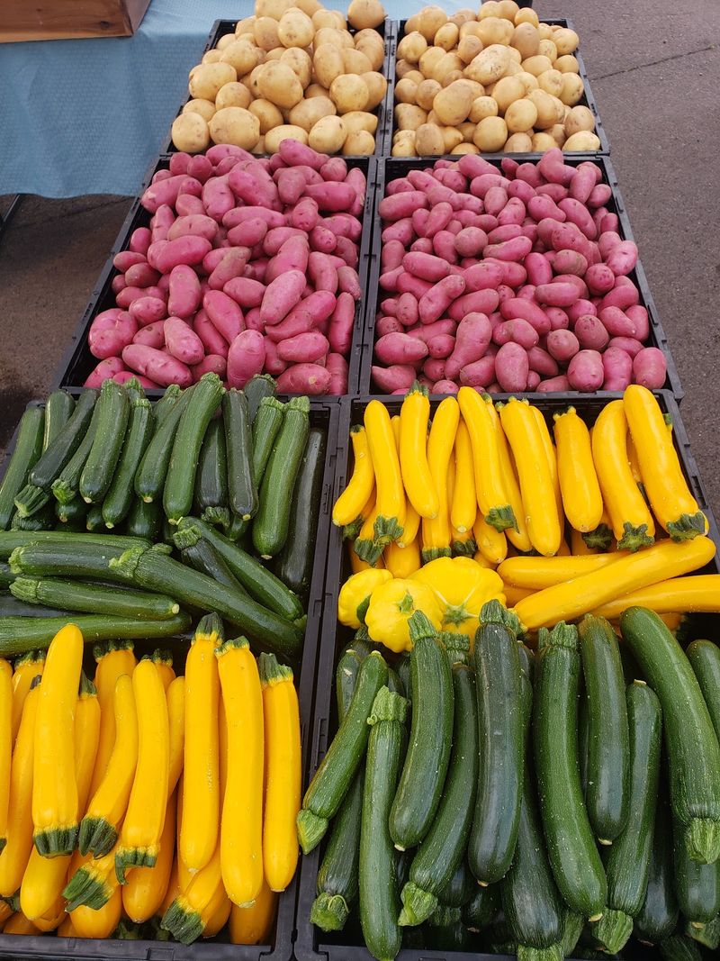 Zucchini And Summer Squash 