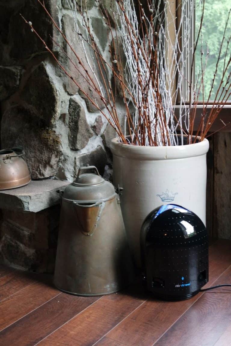 Keep Your Home’s Air Purified this Summer with Airfree