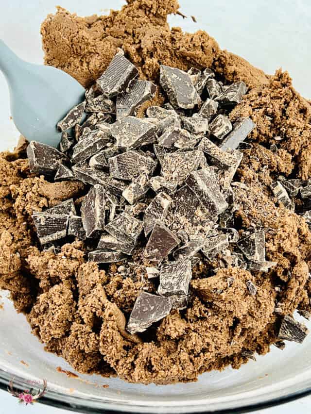 Ancho Chile Mexican Chocolate Cookies Delicious & Easy to Make