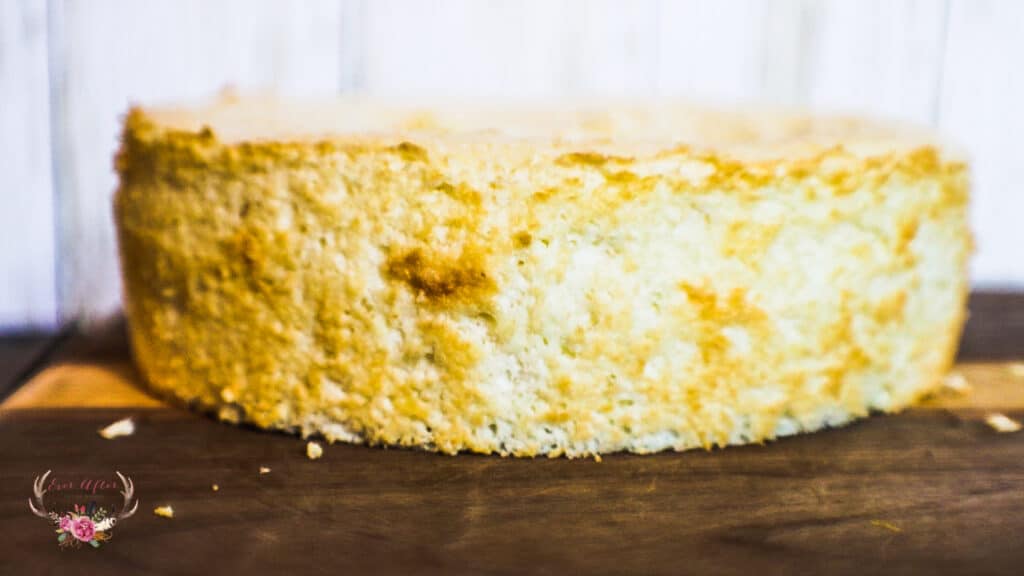 Angel Food Cake Ever After in the Woods